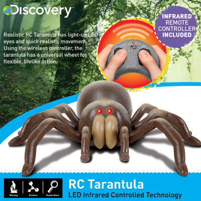 Discovery Kids RC Moving Tarantula Spider, Wireless Remote Control Toy for Kids