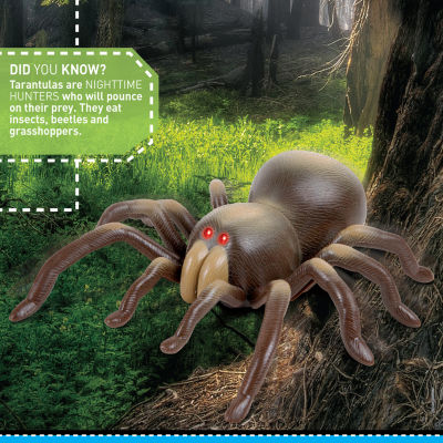 Discovery Kids RC Moving Tarantula Spider, Wireless Remote Control Toy for Kids