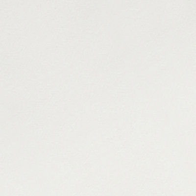 Wrinkle Guard 400TC Cotton 2-Pack Pillowcase