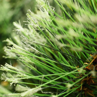 50' x 14'' Cashmere Mixed Pine Commercial Artificial Christmas Garland - Unlit