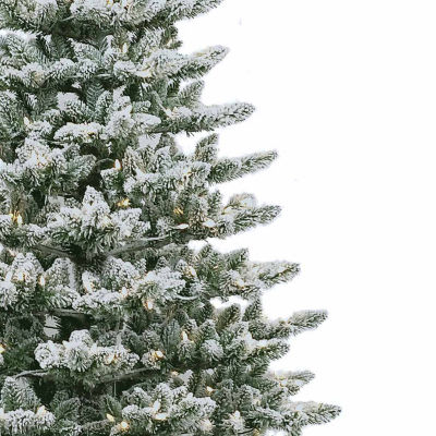 Kurt Adler Led Snow / Foot Pre-Lit Flocked Pine Christmas Tree