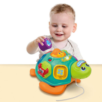 Winfun Pull Along Sort N Learn Turtle