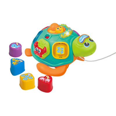 Winfun Pull Along Sort N Learn Turtle