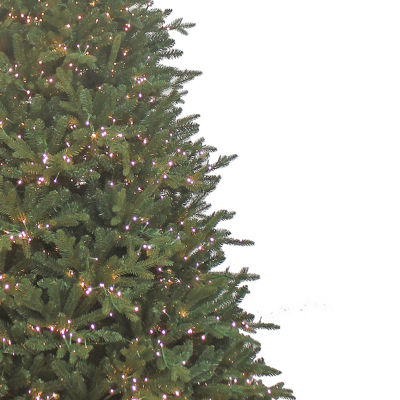 Kurt Adler Warm White Led Noble 9 Foot Pre-Lit Fir Christmas Tree