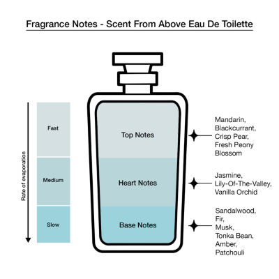 Dolly Parton Omni Eau De Toilette 3-Pc Gift Set ($45 Value) Perfume Set