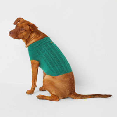 Jcpenney hotsell dog sweater