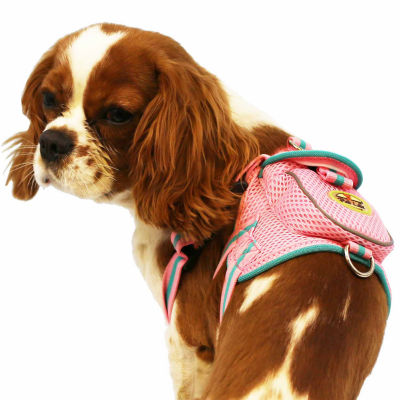 The Pet Life Mesh Pet Harness With Pouch