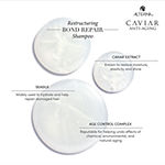 ALTERNA Caviar Restructuring Bond Repair Shampoo - 8.5 oz.