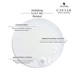 ALTERNA Caviar Multiplying Volume Shampoo - 8.5 oz.