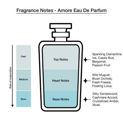 Vince Camuto Women's Eau De Parfum 4-Pc Coffret Set ($48 Value)