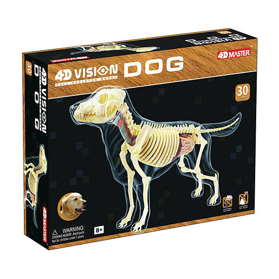 4D Vision Full Skeleton Dog Model