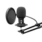 Iconic Bluetooth Karaoke Microphone, Rechargeable Microphone and Speaker  with Smartphone Holder