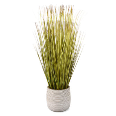 Linden Street 29in Lemongrass Artificial Plant, Color: Green - JCPenney