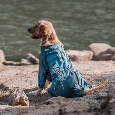 Dog Helios ® 'Hurricanine' Waterproof And Reflective Full Body Coat Jacket W/ Heat Technology
