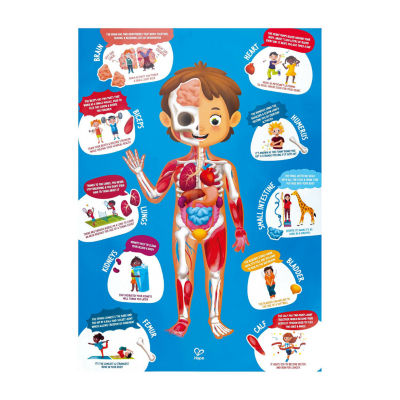 Hape Human Body Puzzle Puzzle