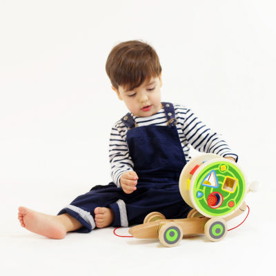 Hape Walk-A-Long: Snail Discovery Toy