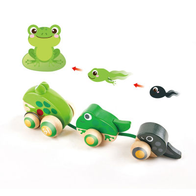 Hape Pull-Along Frog Family Discovery Toy