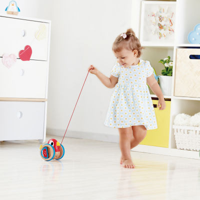 Hape Baby Bird Pull-Along Discovery Toy