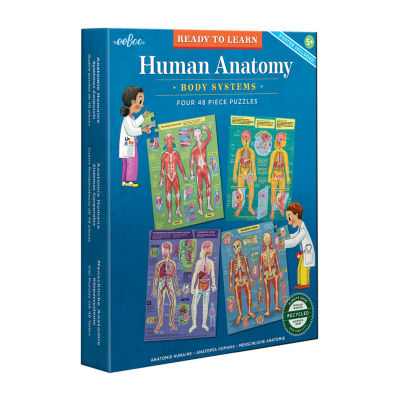 Eeboo Human Anatomy 4-Puzzles Puzzle