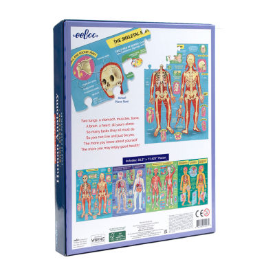 Eeboo Human Anatomy 4-Puzzles Puzzle