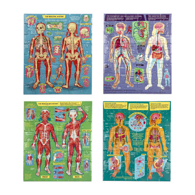 Eeboo Human Anatomy 4-Puzzles Puzzle