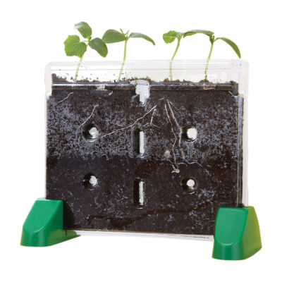 Educational Insights Sprout & Grow™ Window Discovery Toy