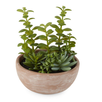 Linden Street 7.75" Potted Succulent Artificial Plant