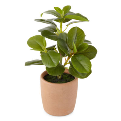 Linden Street Rubber Tree Artificial Plant