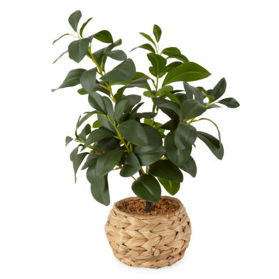 Linden Street 21" Water Hyacinth Basket Artificial Plant