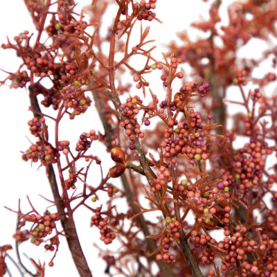 Northlight 24in Autumn Harvest Burgundy Berry Artificial Wreath