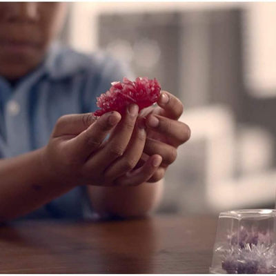 Toysmith 4M Deluxe Crystal Growing Combo Steam Science Kit - DIY Geology, Chemistry, Art STEM Toys Gift For Kids & Teens ,Boys & Girls