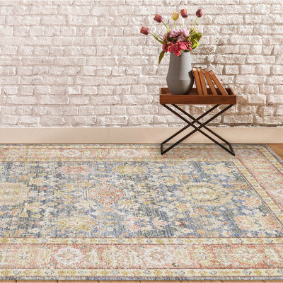 Amer Rugs Cienieka Marta Vintage Bordered Indoor Rectangular Accent Rug
