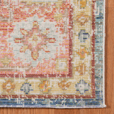 Amer Rugs Cienieka Marta Vintage Bordered Indoor Rectangular Accent Rug