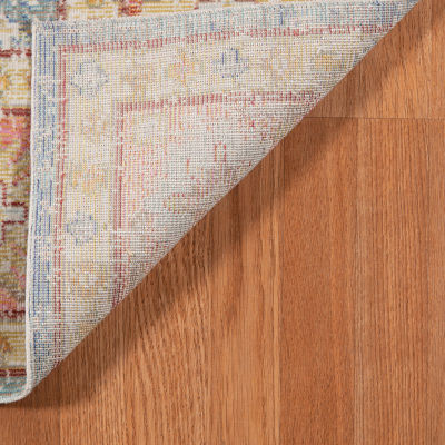 Amer Rugs Cienieka Marta Vintage Bordered Indoor Rectangular Accent Rug