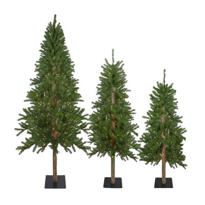 Northlight Set Of 3 Slim Artificial 6 Foot Pre-Lit Pine Christmas Tree