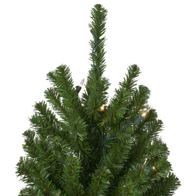 Northlight Set Of 3 Slim Artificial 6 Foot Pre-Lit Pine Christmas Tree