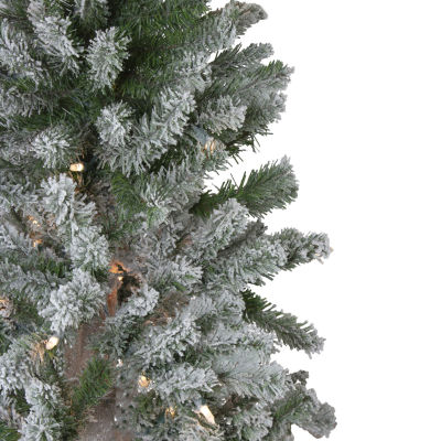 Northlight Set Of 3 Slim Artificial Clear Lights 5 Foot Pre-Lit Pine Christmas Tree