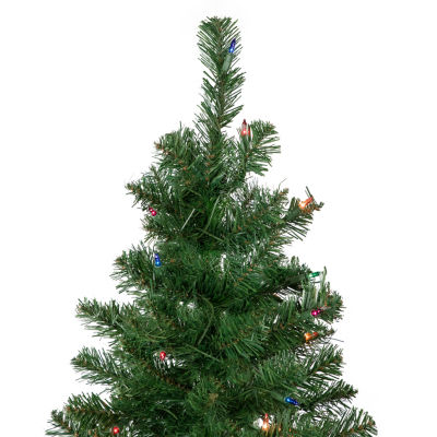 Northlight Wilson Slim Artificial Multi Lights 6 Foot Pre-Lit Pine Christmas Tree