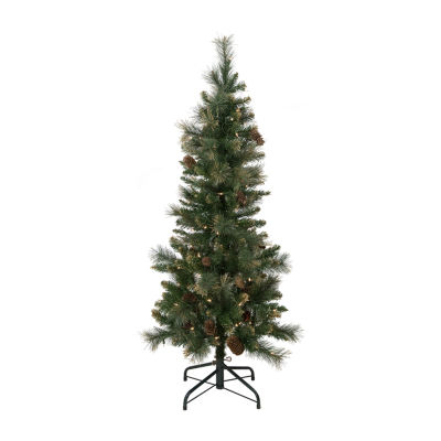 Northlight Yorkshire Pencil Artificial Clear Lights / Foot Pre-Lit Pine Christmas Tree