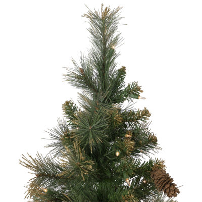 Northlight Yorkshire Pencil Artificial  Clear Lights 4 1/2 Foot Pre-Lit Pine Christmas Tree