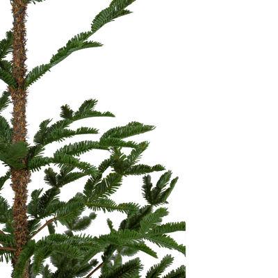 Northlight Green Ponderosa Artificial With Jute Base Unlit 5 Foot Pine Christmas Tree