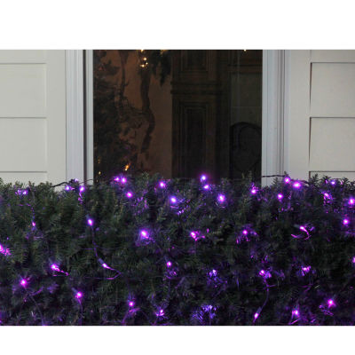 Northlight 4' X 6' Purple Led Wide Angle Style Green Wire Net Lights