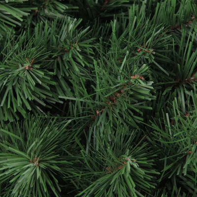 Green Colorado Spruce Artificial Christmas Wreath  36-Inch  Unlit