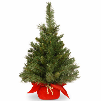 National Tree Co. Majestic Fir 2 Foot Fir Christmas Tree