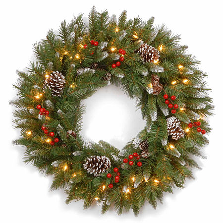 National Tree Co. Frosted Berry Indoor Outdoor Christmas Wreath, One Size, Green