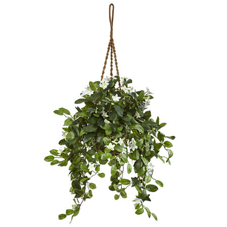 Stephanotis Flowering Artificial Plant In Hanging Basket, One Size, Green