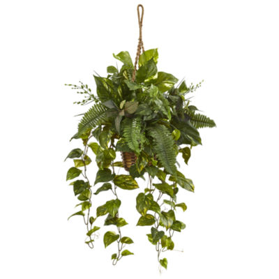 Mixed Pothos and Boston Artificial Fern in Hanging Basket