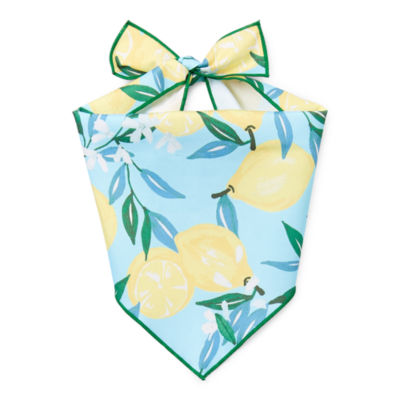 Paw & Tail Dog Spring Bandana