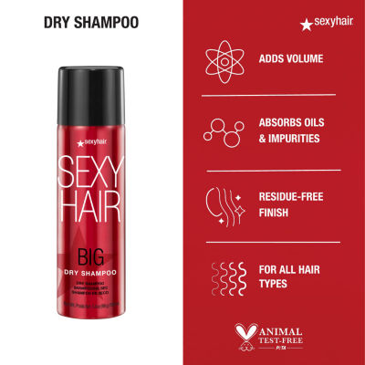 Big Sexy Hair Dry Shampoo 3.4 oz