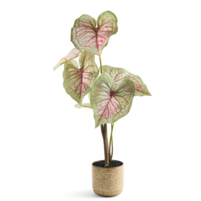 Linden Street 29in Candyland Caladium Artificial Plant
